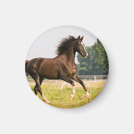 オーダーメイドペットの馬の写真カスタム絵画 マグネット