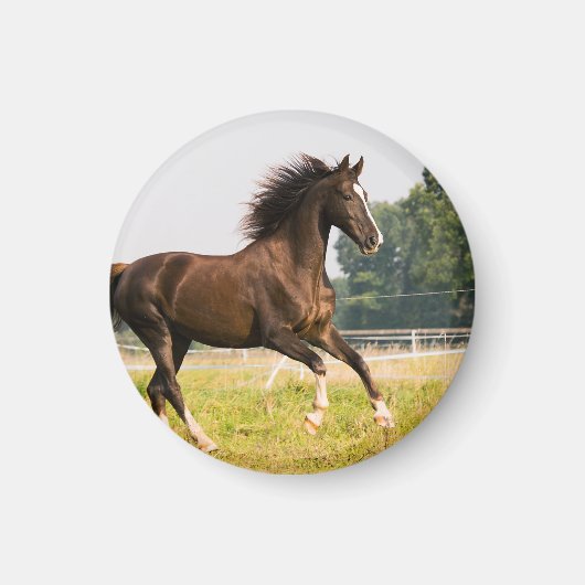 オーダーメイドペットの馬の写真カスタム絵画 マグネット (正面)