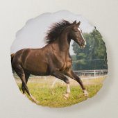 オーダーメイドペットの馬の写真カスタム絵画 ラウンドクッション (裏面)