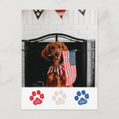 オーダーメイド赤いホワイトブルー犬の愛国(7月4日) シーズンポストカード (正面)