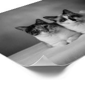 オーダーメイド4Kブラック&ホワイトペットポートレートポスター - プロ ポスター (角)