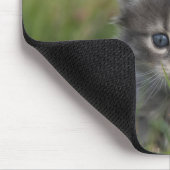 オーダーメイド かわいい子猫 マウスパッド (コーナー)