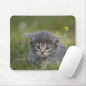 オーダーメイド かわいい子猫 マウスパッド (マウス)