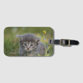 オーダーメイド かわいい子猫 ラゲッジタグ (正面横)