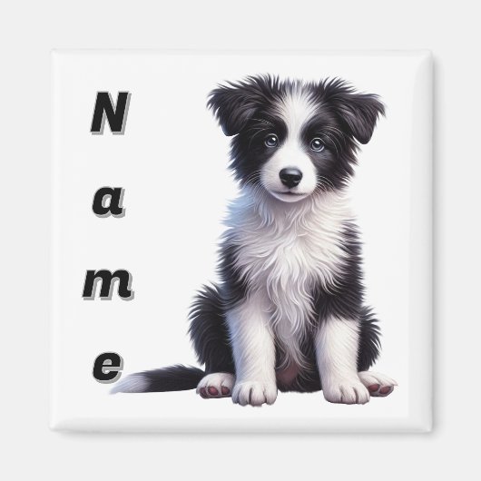 オーダーメイド かわいい ボーダーコリーの子犬 マグネット (正面)