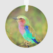 オーダーメイド カラフルな鳥の写真 オーナメント (裏面)