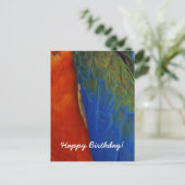 オーダーメイド カラフル マコワインコの羽根 誕生日 ポストカード (スタンド正面)