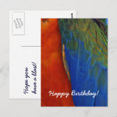 オーダーメイド カラフル マコワインコの羽根 誕生日 ポストカード (正面/裏面)