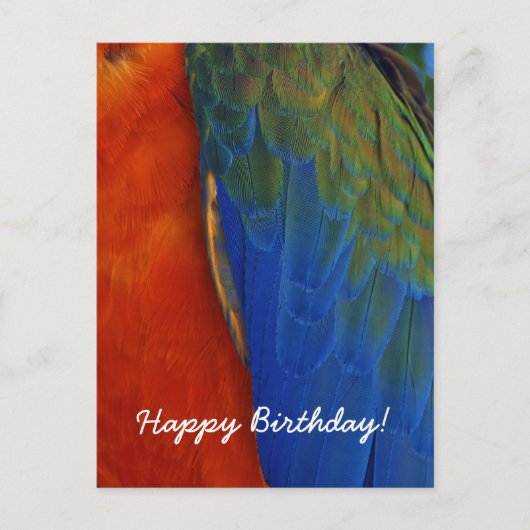 オーダーメイド カラフル マコワインコの羽根 誕生日 ポストカード (正面)