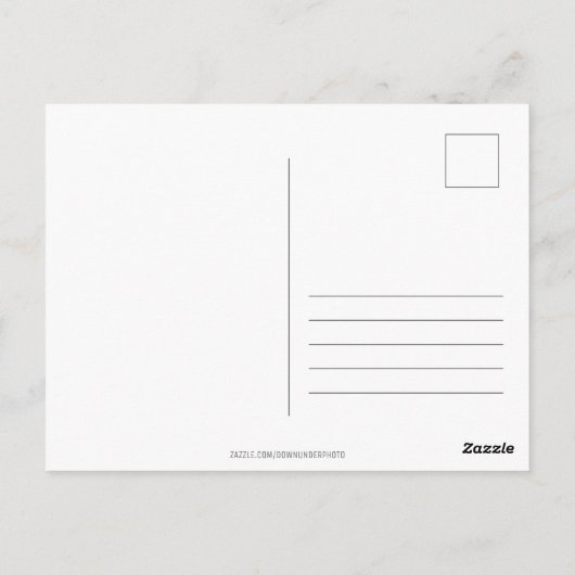 オーダーメイド キュートなウォンバット タスマニア オーストラリア ポストカード (裏面)