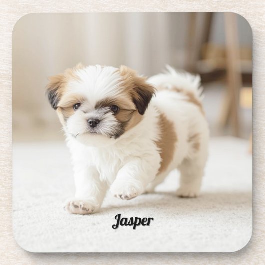 オーダーメイド シ Shih Tzu ビール コースター セット (正面)
