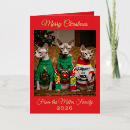 オーダーメイド スフィンクス猫のクリスマス 写真 箔グリーティングカード
