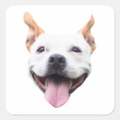 オーダーメイド フェイスステッカー、犬の顔をパーソナライズ スクエアシール (正面)