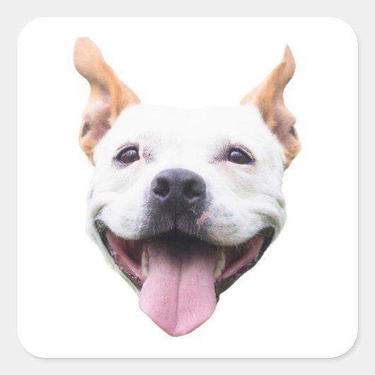 オーダーメイド フェイスステッカー、犬の顔をパーソナライズ スクエアシール (正面)