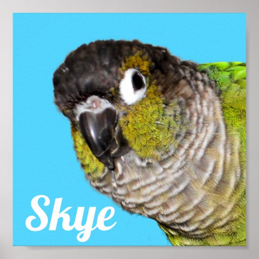 オーダーメイド ペットの鳥 写真 名前 ポスター (正面)