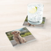 オーダーメイド ペット 写真 カスタム 絵画 ガラスコースター (アングル)