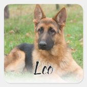 オーダーメイド ペット 写真 名前入り カスタム絵画 スクエアシール (正面)