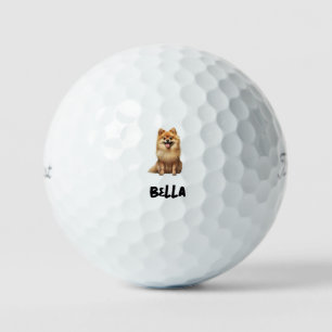 オーダーメイド ペット 写真 名前 Titleist Pro V1 II ゴルフボール