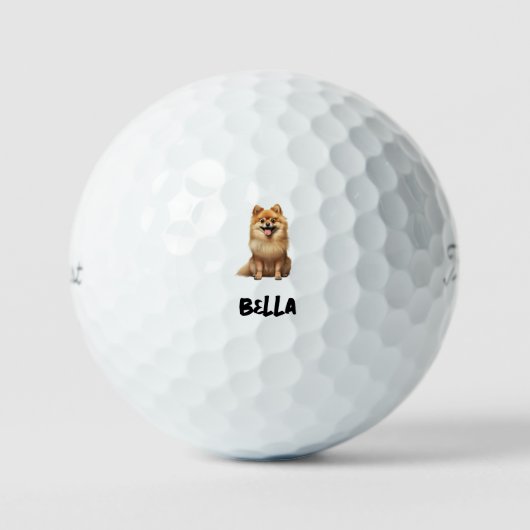 オーダーメイド ペット 写真 名前 Titleist Pro V1 II ゴルフボール (正面)