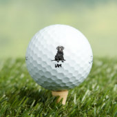 オーダーメイド ペット 写真 名前 Titleist Pro V1 II ゴルフボール (インサイチュ 木)