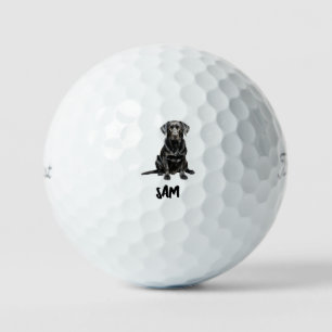 オーダーメイド ペット 写真 名前 Titleist Pro V1 II ゴルフボール