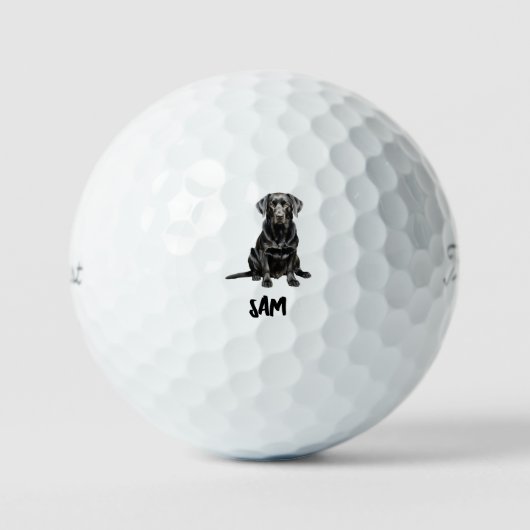 オーダーメイド ペット 写真 名前 Titleist Pro V1 II ゴルフボール (正面)