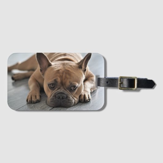 オーダーメイド ペット 犬 写真 ラゲッジタグ (正面横)