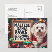 オーダーメイド マルチーズのサンタ クリスマス (正面/裏面)