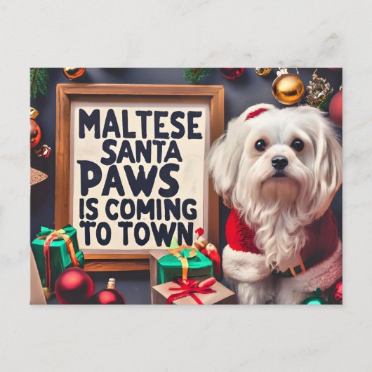 オーダーメイド マルチーズのサンタ クリスマス (正面)