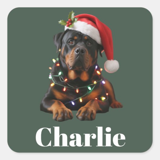 オーダーメイド ロットワイラー 犬 名前入り クリスマス スクエアシール (正面)