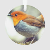 オーダーメイド ロビン 鳥 写真 オーナメント (裏面)