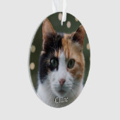 オーダーメイド 三毛猫 写真入り 名入れ オーナメント (正面)