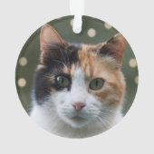 オーダーメイド 三毛猫 写真入り 名入れ オーナメント (裏面)