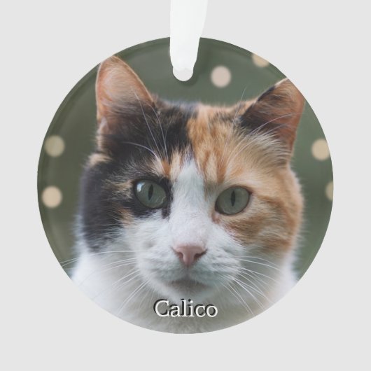 オーダーメイド 三毛猫 写真入り 名入れ オーナメント (正面)