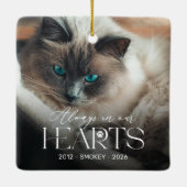 オーダーメイド 猫のメモリアル 写真 クリスマス オーナメント (裏面)
