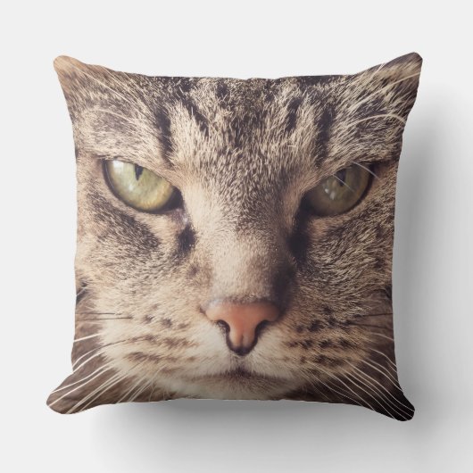 オーダーメイド 猫 ペット 枕 (正面)
