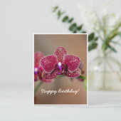 オーダーメイド 美しい 赤いラン お誕生日 ポストカード (スタンド正面)