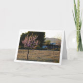 オーチャードのアーモンドツリー カード (正面)