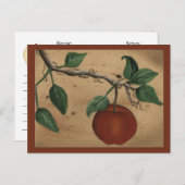 オーチャードアップルレシピカード ポストカード (正面/裏面)