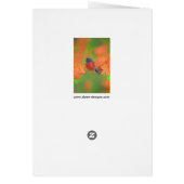 オーチャードオリオールソングバード絵画ズオリジナルバードアート (裏面)