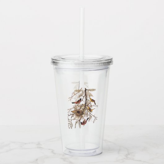 オーチャードオリオールバードファミリーと巣 アクリルタンブラー (正面)