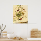 オーチャードオリオール – ジョセフ・キッドファインアートポスター ポスター (キッチン)