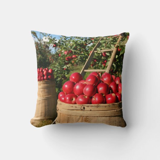 オーチャードシーン赤りんご収穫 クッション (正面)