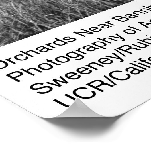 オーチャードニアバンニングハイツバイアンセルアダムス ポスター (角)