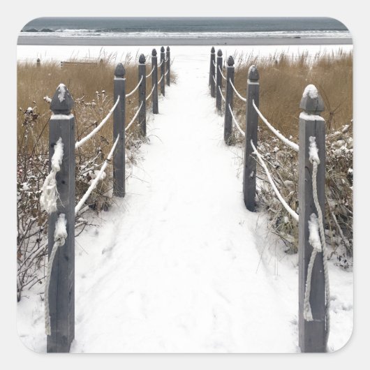 オーチャードビーチ スクエアシール (正面)