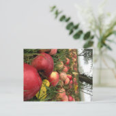 オーチャードポストカードの秋の朝 ポストカード (スタンド正面)