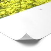 オーチャードマスタードフィールド ポスター (角)