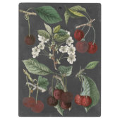 オーチャード品種I クリップボード (裏面)