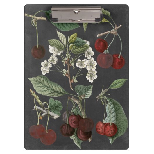オーチャード品種I クリップボード (正面)