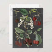 オーチャード品種I ポストカード (正面/裏面)